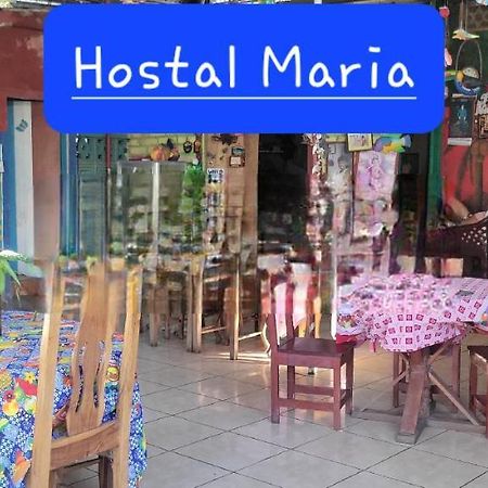 Hostal Maria ริวาส ภายนอก รูปภาพ